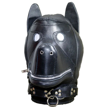 Pet Play