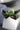 Dandy Leather Bowties — Bedroom Accessories (view 34)