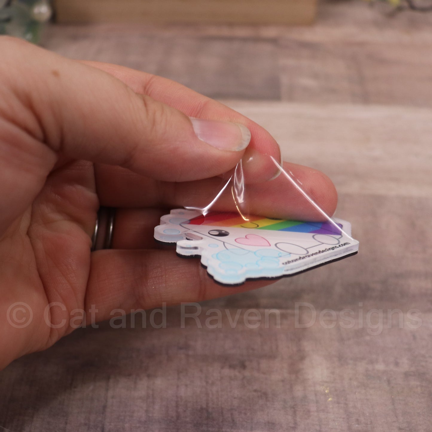 Soapy Buddy LGBTQ/Pride Flag Acrylic Keychain